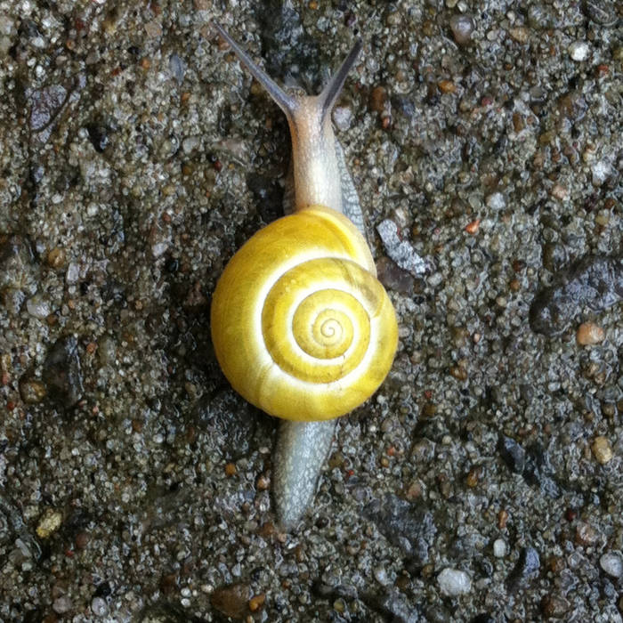 a0346967536_16